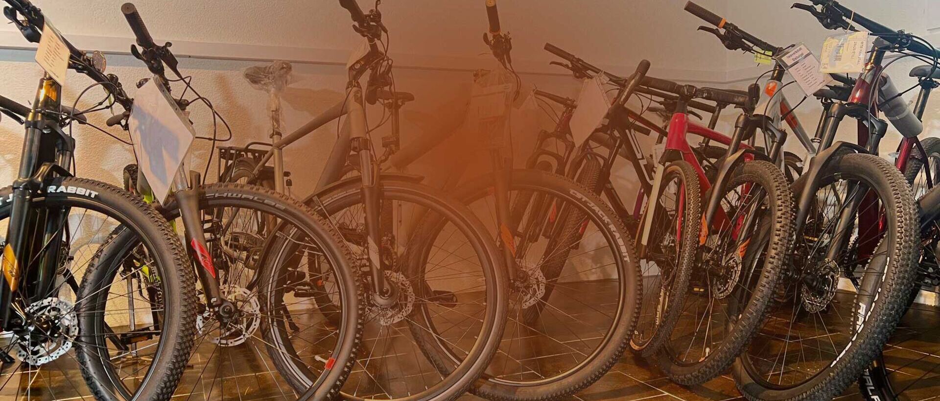 Showroom Velo Ausstellung